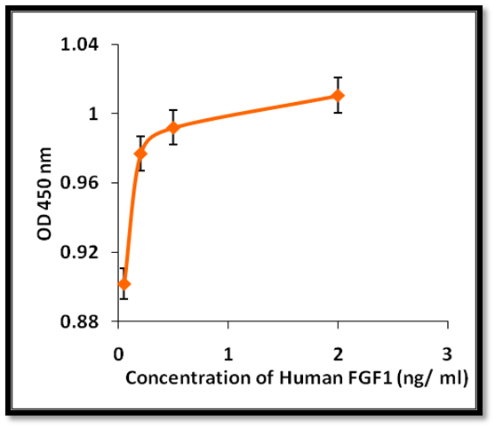 重組人類 FGF1 - Image 2