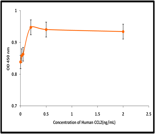 Recombinant Human CCL2 - Image 2