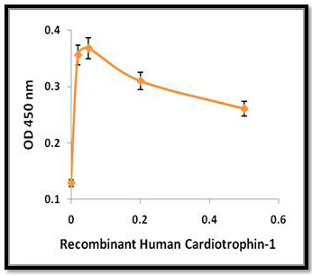 重組人類 Cardiotrophin-1 (CT-1) - Image 2