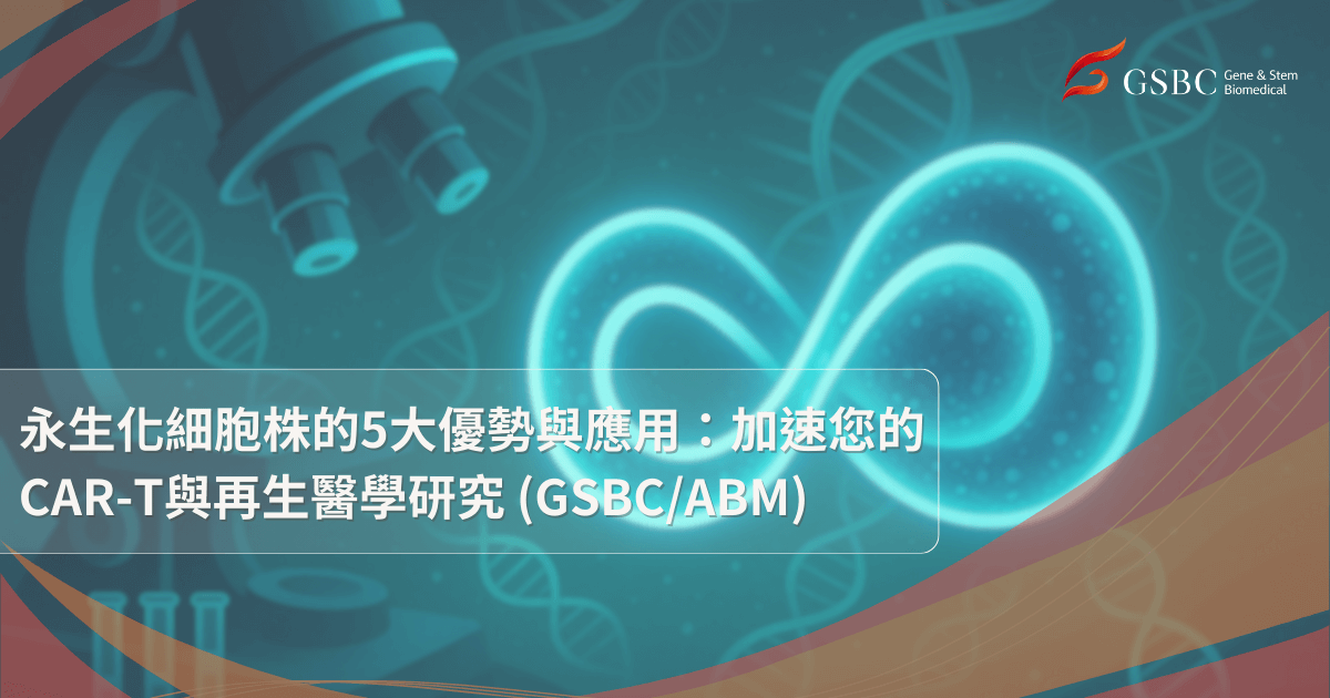 探索永生化細胞株:GSBC CGT研究的基本工具